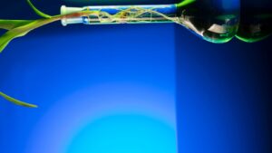 Masters in Biotechnology in Germany-KCR HOME