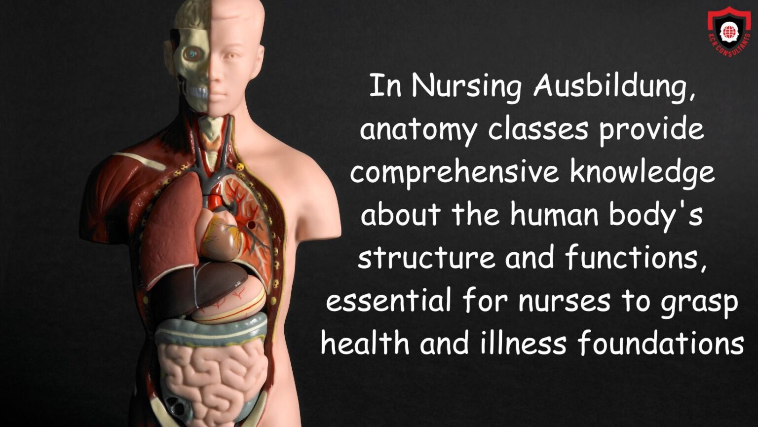Nursing Ausbildung in Germany Your Roadmap to a Nursing Career