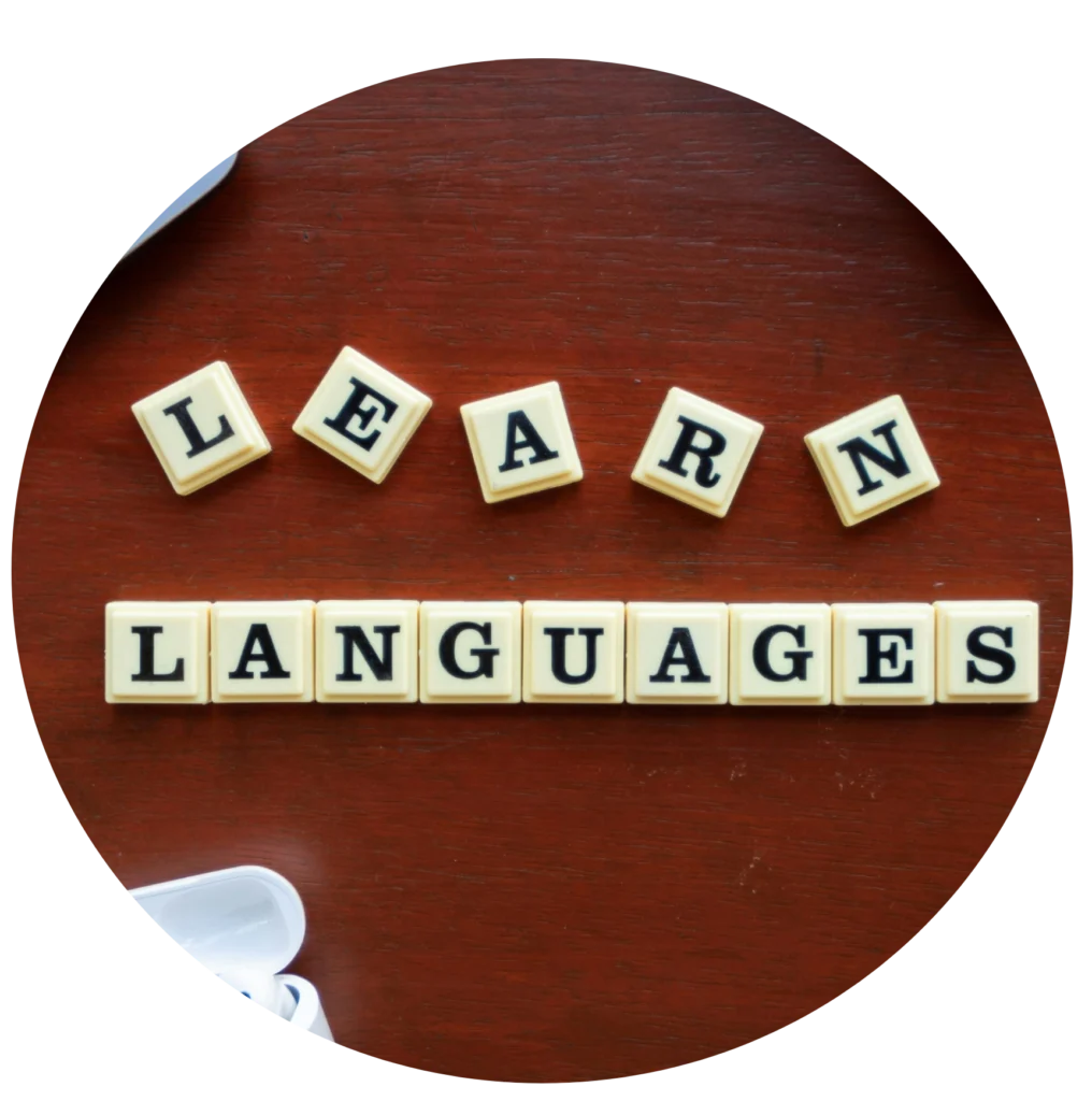 Study in Korea Consultant