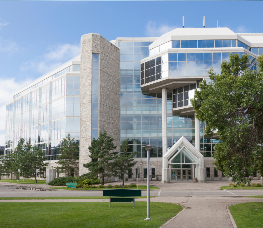 Study in Korea Consultant